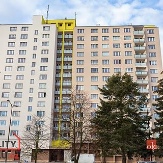 Pronájem bytu 1+1 42 m² Plzeň