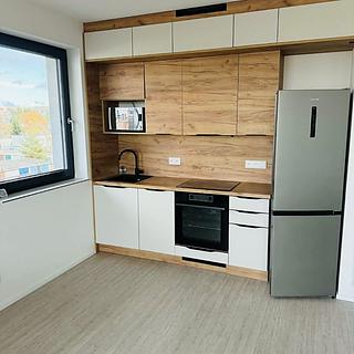 Pronájem bytu 1+kk, garsoniery 30 m&sup2; Plzeň