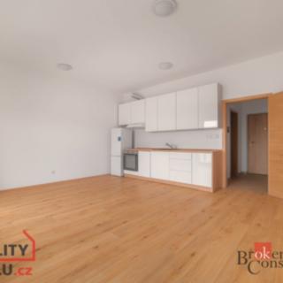Pronájem bytu 1+kk, garsoniery 36 m² Plzeň