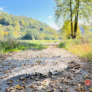 Prodej stavební parcely 924 m² Račice-Pístovice Račice