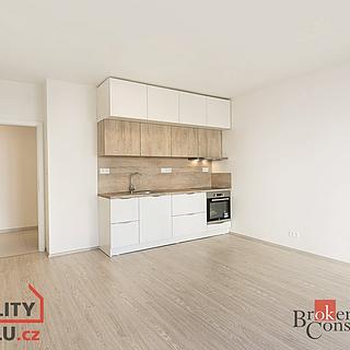 Pronájem bytu 2+kk, 56m²