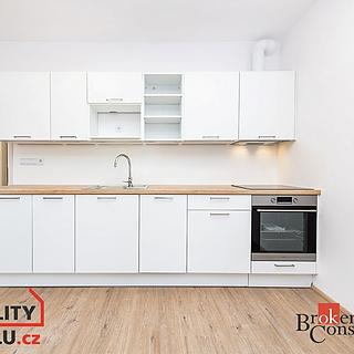 Prodej bytu 1+kk a garsoniéry 40 m² Plzeň Jižní Předměstí, Železná