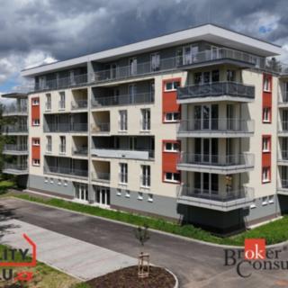 Prodej bytu 1+kk a garsoniéry 39 m² Nová Role, Svobodova