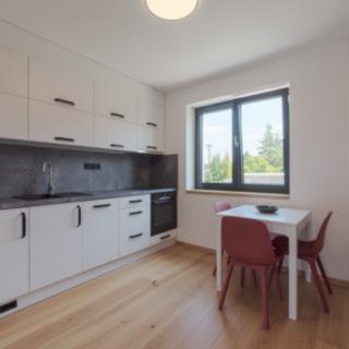 Pronájem bytu 1+kk a garsoniéry 25 m² Lanškroun Žichlínské Předměstí, Lidická