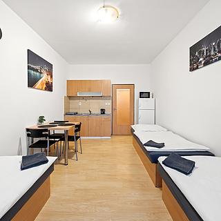 Pronájem bytu 1+kk, garsoniery 26 m&sup2; Pardubice