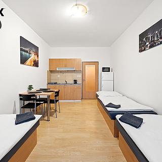 Pronájem bytu 1+kk a garsoniéry 26 m² Pardubice Svítkov, K Dubině