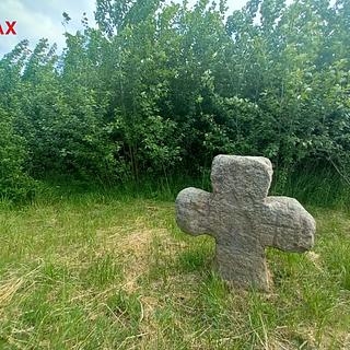 Prodej zemědělské půdy 17 750 m² Doubravice