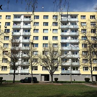 Pronájem bytu 1+1 35 m² Hradec Králové Nový Hradec Králové, Mandysova