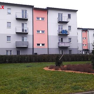 Pronájem bytu 2+kk 55 m² Mohelnice, Za Penzionem