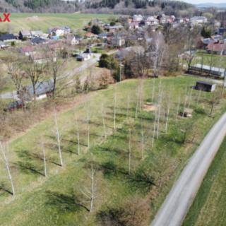 Pronájem louky 2 598 m² Rudoltice