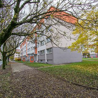 Pronájem bytu 2+1 43 m&sup2; Hradec Králové