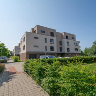 Pronájem bytu 2+kk 52 m² Hradec Králové Pražské Předměstí, Farářství