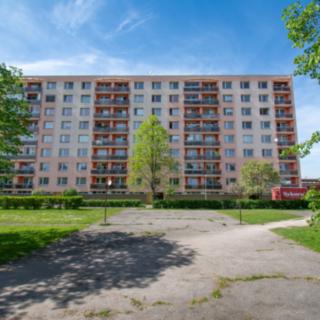 Pronájem bytu 1+1 34 m² Hradec Králové Moravské Předměstí, Štefánikova
