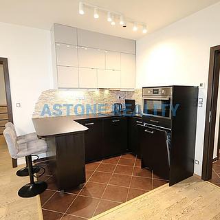 Pronájem bytu 2+kk 59 m² Praha Žižkov, Olšanská