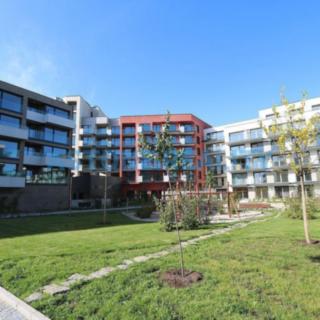 Pronájem bytu 1+kk a garsoniéry 43 m² Praha Žižkov, Šrámkové