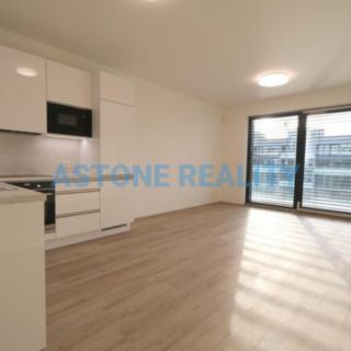 Pronájem bytu 1+kk a garsoniéry 43 m² Praha Žižkov, Šrámkové