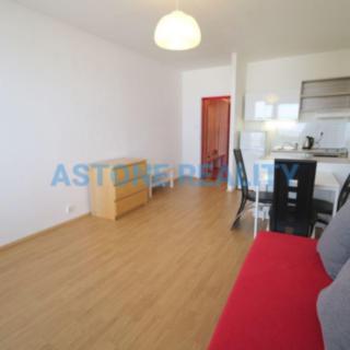Pronájem bytu 1+kk a garsoniéry 30 m² Praha Střížkov, Černého