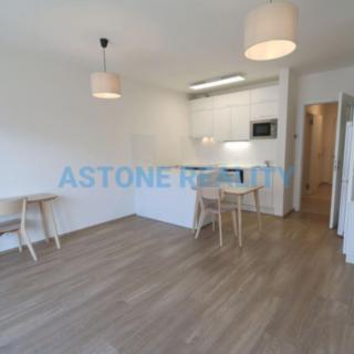 Pronájem bytu 1+kk a garsoniéry 39 m² Praha Chodov, Měchnovská