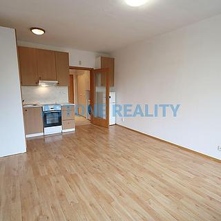Pronájem bytu 1+kk, garsoniery, 30m²