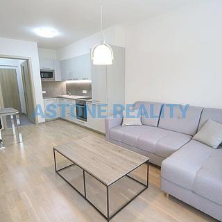 Pronájem bytu 2+kk 55 m² Praha