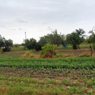 Prodej zemědělské půdy 935 m² Bílovice-Lutotín Bílovice