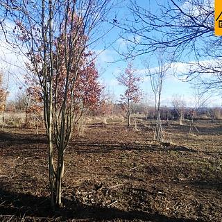 Prodej zahrady 470 m² Olomouc