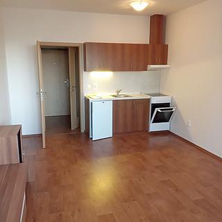 Pronájem bytu 1+kk a garsoniéry 33 m² Olomouc Nové Sady, Novosadský dvůr