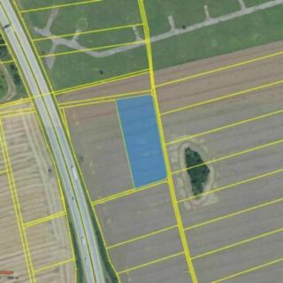 Prodej zemědělské půdy 251 m² Hněvotín