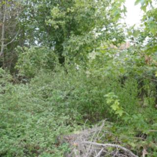 Prodej stavební parcely 697 m² Nemotice