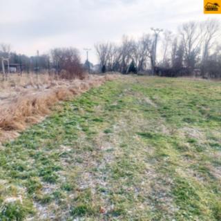 Prodej stavební parcely 3067 m² Loučany