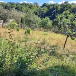 Prodej zahrady 682 m² Hlubočky