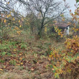 Prodej stavební parcely 370 m² Samotišky