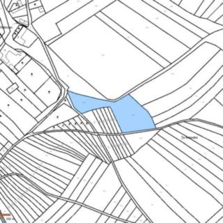Prodej zemědělské půdy 183 m² Laškov