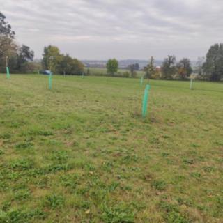 Prodej zahrady 1 889 m² Bělkovice-Lašťany