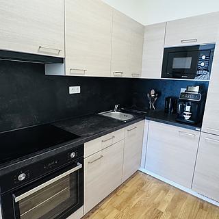 Pronájem bytu 1+kk a garsoniéry 38 m² Dubňany, Hornická