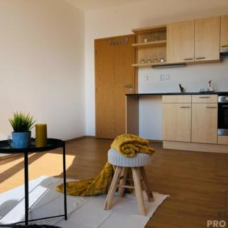 Pronájem bytu 1+kk a garsoniéry 27 m² Brno Židenice, Svatoplukova
