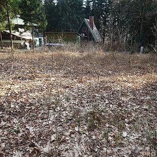 Prodej lesa 637 m² Seč