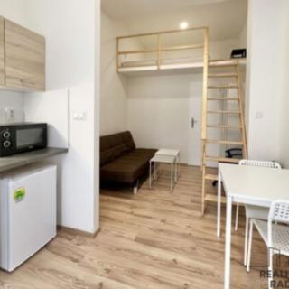 Pronájem bytu 1+kk a garsoniéry 23 m² Brno Staré, Hybešova