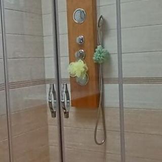 Prodej ostatního komerčního prostoru 220 m² Bystřice