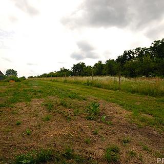 Prodej stavební parcely 1 992 m² Lednice