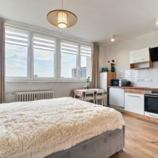 Prodej bytu 1+kk a garsoniéry 24 m² Ostrava Poruba, Spartakovců
