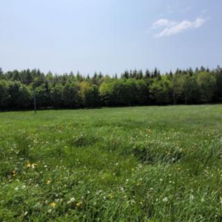 Prodej louky 2 247 m² Moravský Beroun