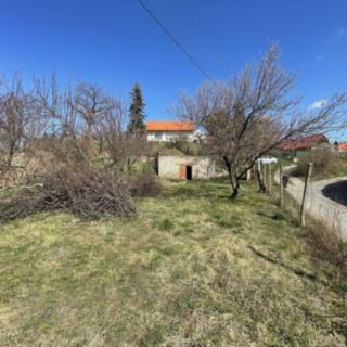 Prodej vinného sklepa 60 m² Valtice