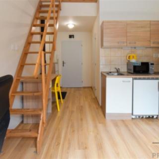 Pronájem bytu 1+kk a garsoniéry 25 m² Brno Staré, Hybešova