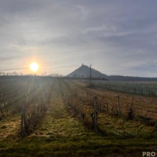 Prodej ostatního pozemku 3 048 m² Dolní Věstonice