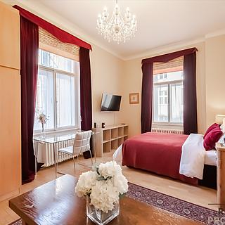 Pronájem bytu 1+1 45 m² Praha