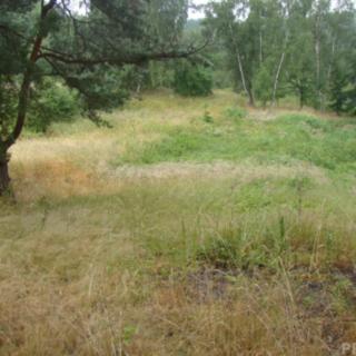 Prodej zahrady 2 000 m² Krušovice