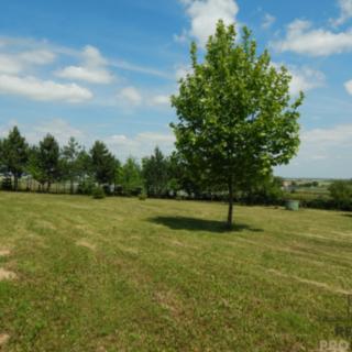 Prodej stavební parcely 3307 m² Syrovice