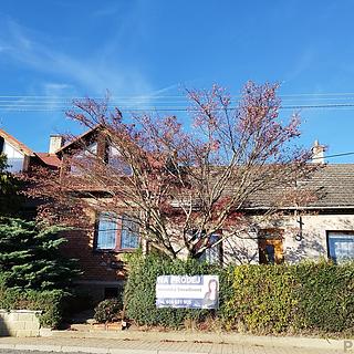 Prodej rodinného domu 255 m² Přílepy