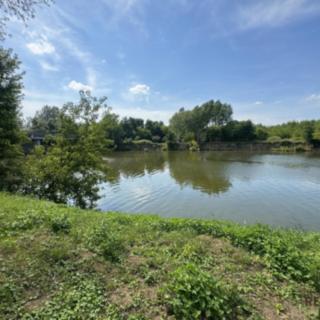Prodej louky 1 161 m² Rohatec